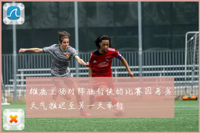 雄鹿主场对阵独行侠的比赛因恶劣天气推迟至另一天举行